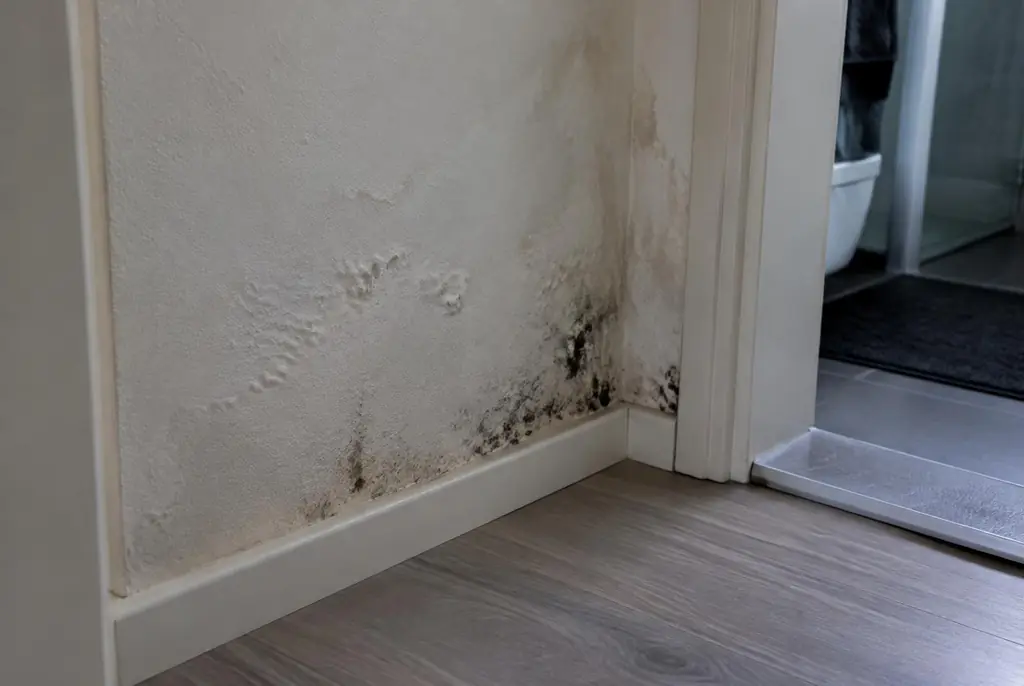 Lekdetectie Leiderdorp – vochtplek met schimmel op een muur